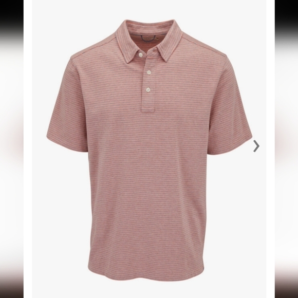 Faherty Other - Faherty Brand Movement™ Rose Sky Stripe Short Sleeve Polo